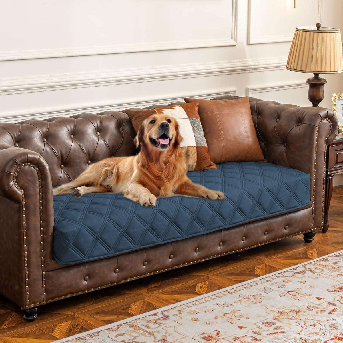 Water-Resistant Dog Bed Cover and Pet Blanket with Non-Slip Backing for Furniture, Beds, Couches, and Sofas